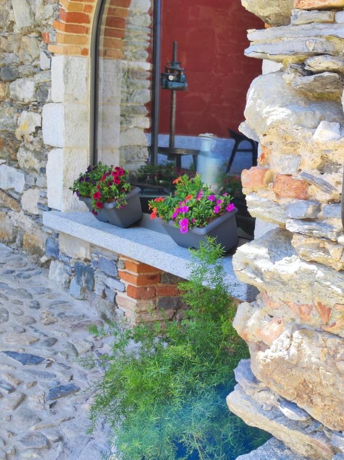 Agriturismo Il Medeghino Musso Exterior photo